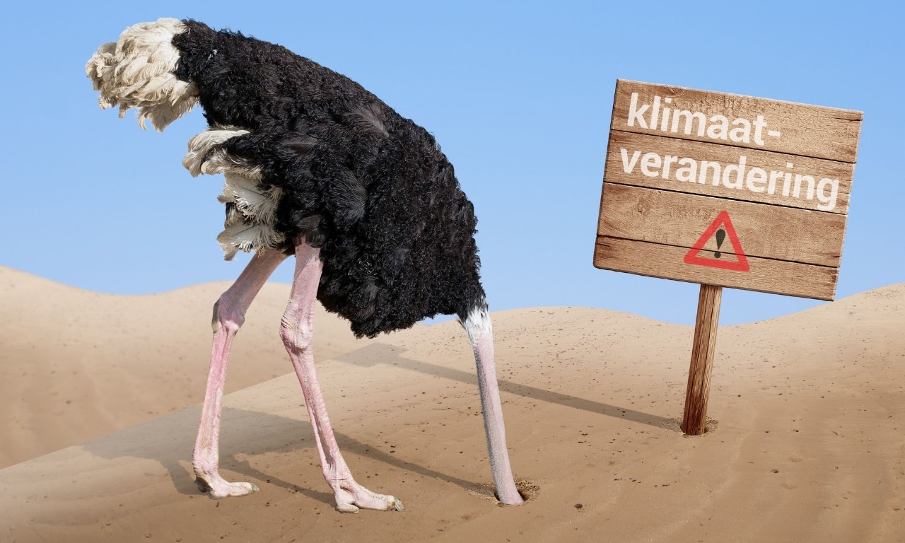 Ben je een klimaatstruisvogel of juist een duurzaamheidsgoeroe? Ben je een klimaatstruisvogel of juist een duurzaamheidsgoeroe?