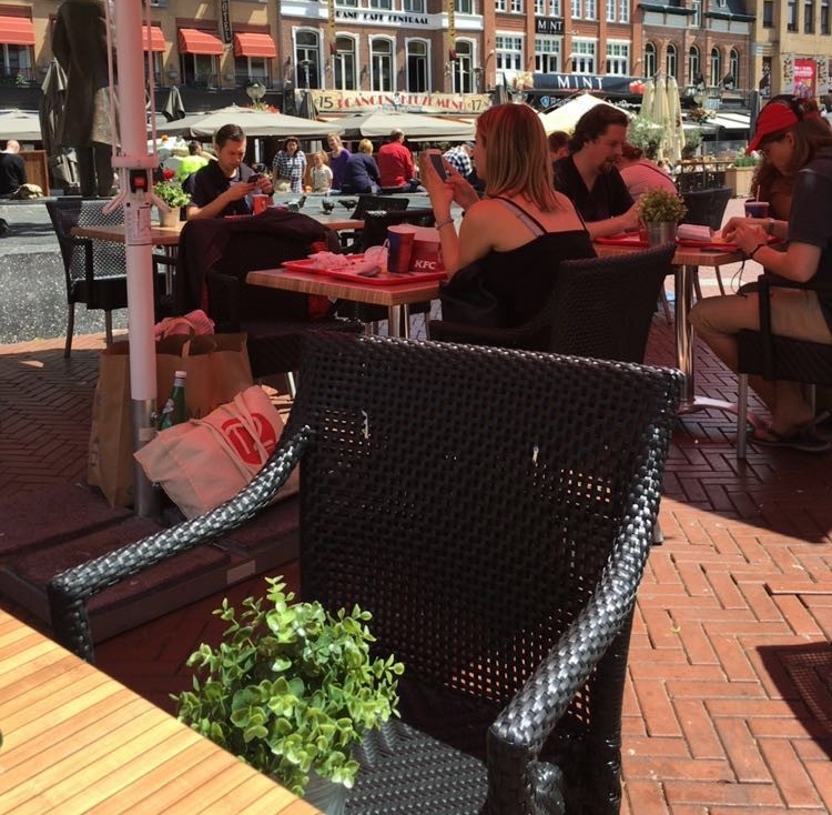 Terras vol met pokémon trainers Terras vol met pokémon trainers